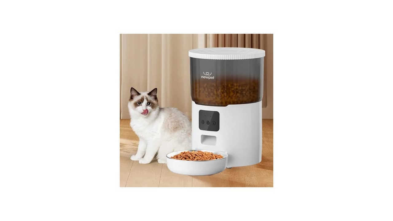 Melhor Alimentador Automático para Cão: Top 10 com Agendamento Inteligente