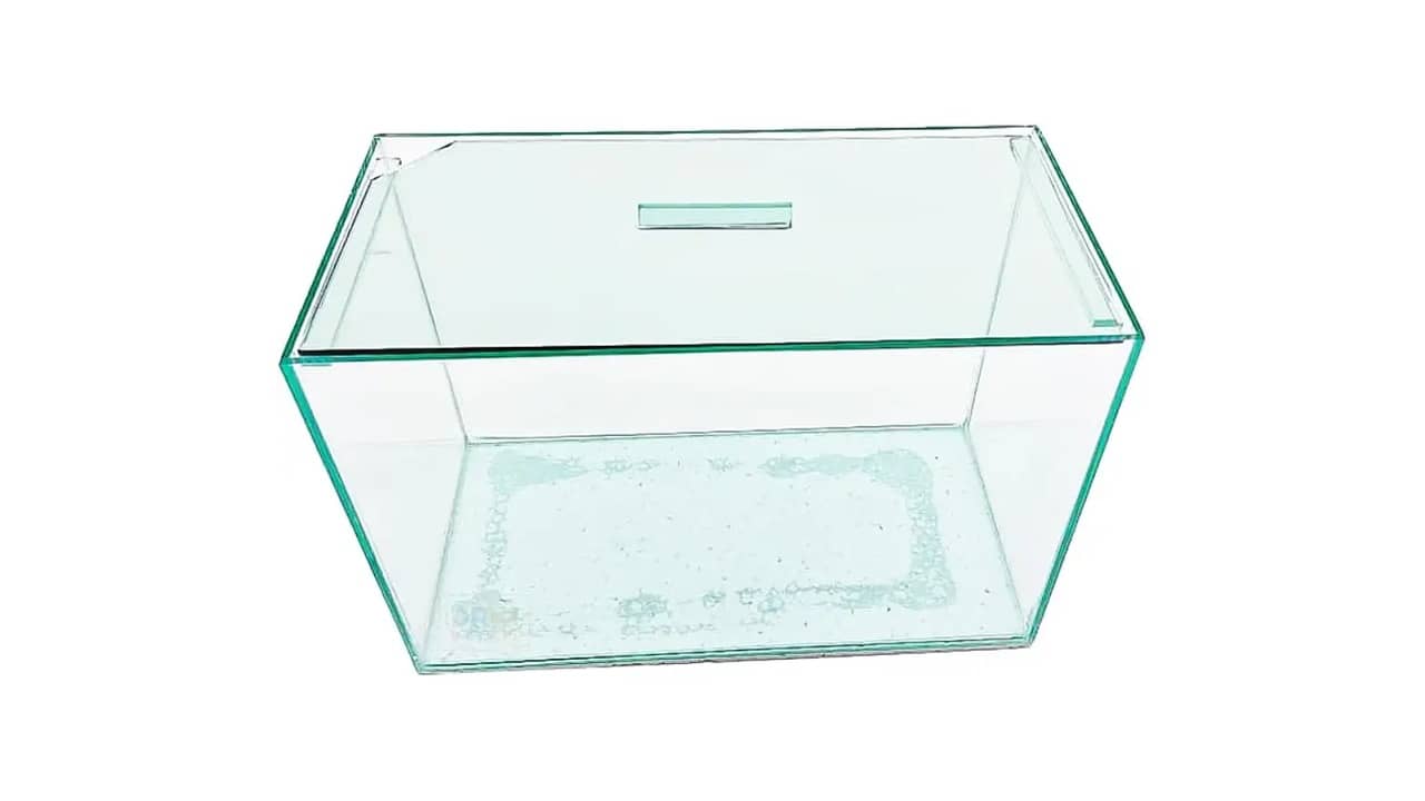 Melhor Aquário: Top 10 Opções para Seus Peixes