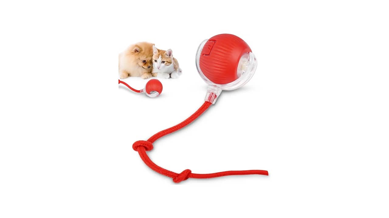 Melhor Brinquedo de Gato: As 10 Mais Divertidas e Intergativas