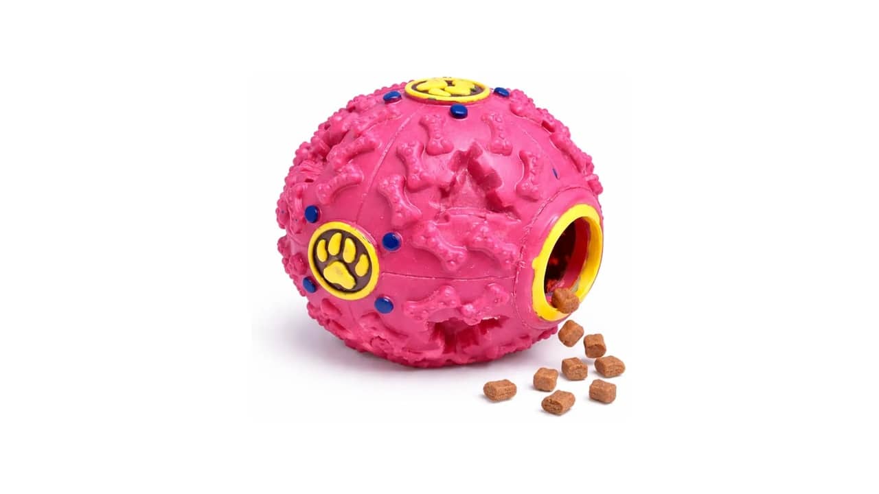 Melhor Brinquedo para Cachorro que Fica Sozinho: Estimulações Inteligentes e Resistentes