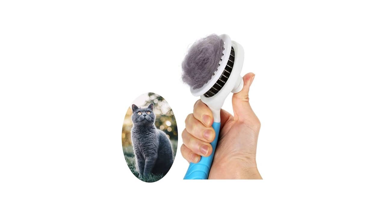 Melhor Escova para Cachorro: Qual É a Mais Eficiente?