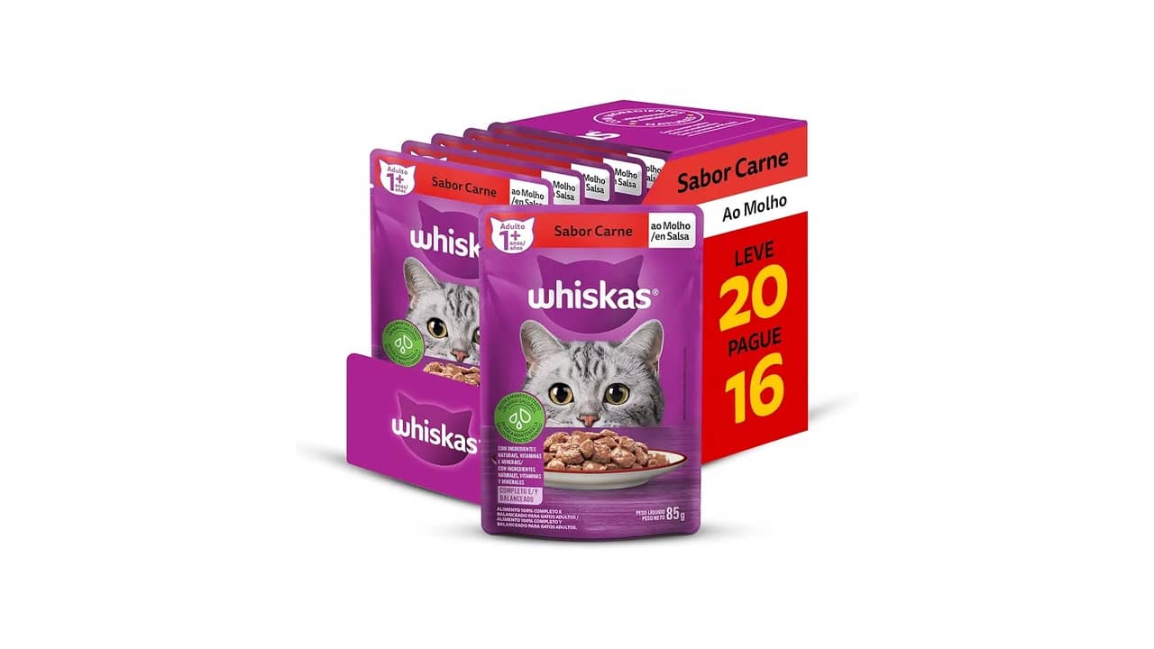 Melhor Sachê de Gato: 5 Modelos com Sabor Irresistível e Saúde