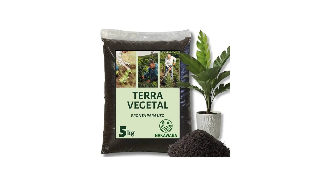 Melhor Substrato para Plantas: Qual É a Melhor Opção para Suas Plantas?