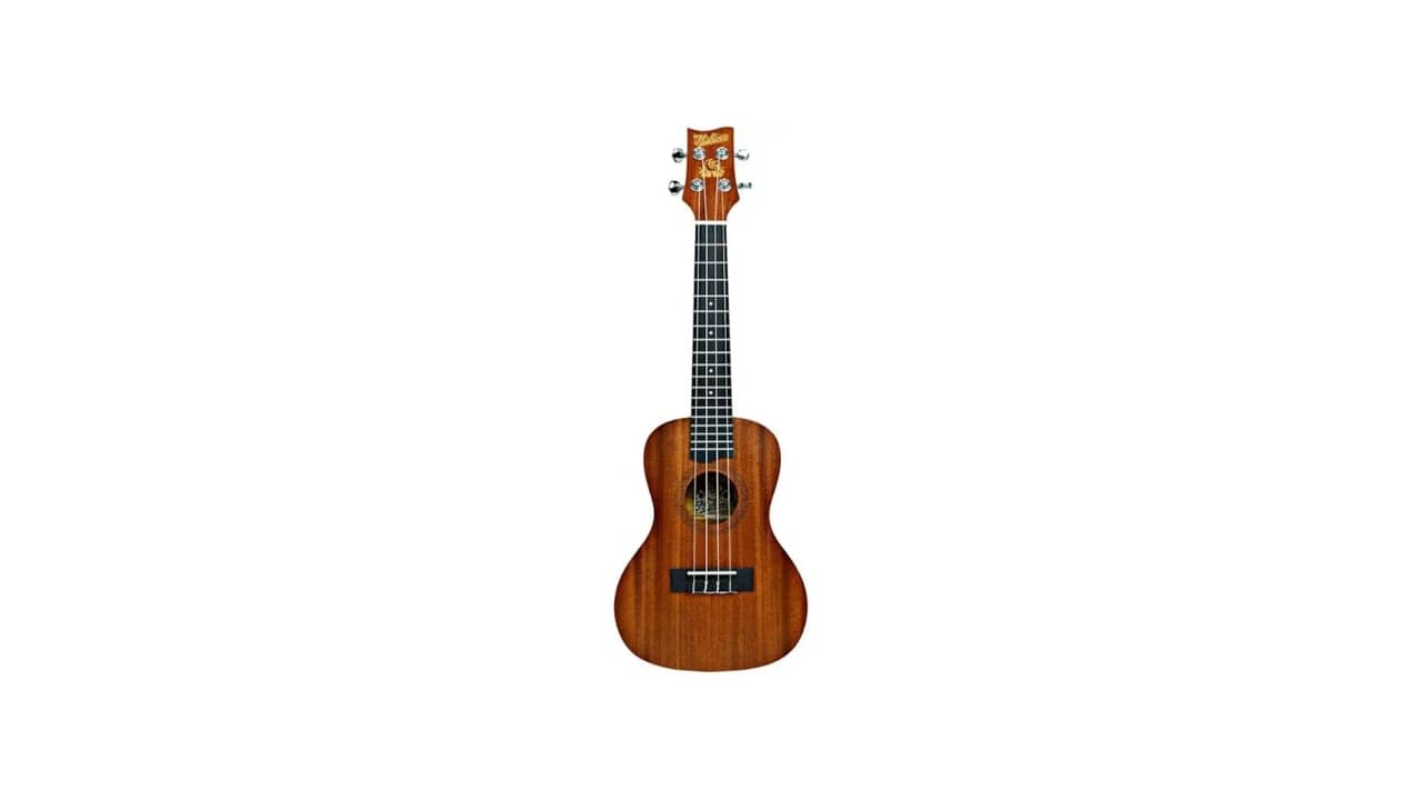 Melhor Ukulele Concerto: Qual Faz a Diferença no Som?