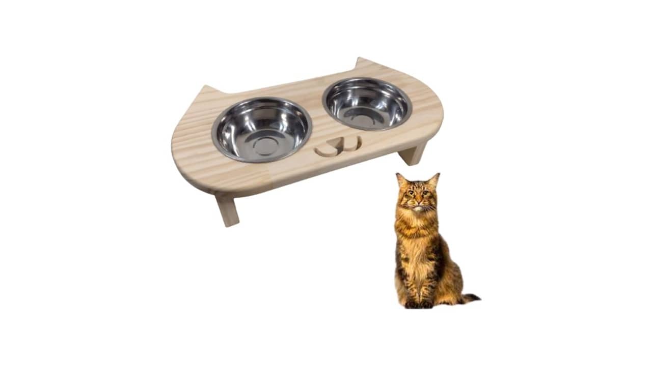 Melhor Vasilha para Gato: Elevação e Ergonomia para Seu Amigo Felino