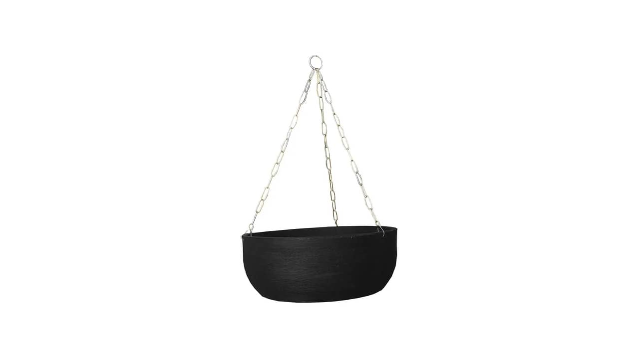 Melhor Vaso para Samambaia: Suspenso ou Fixo?