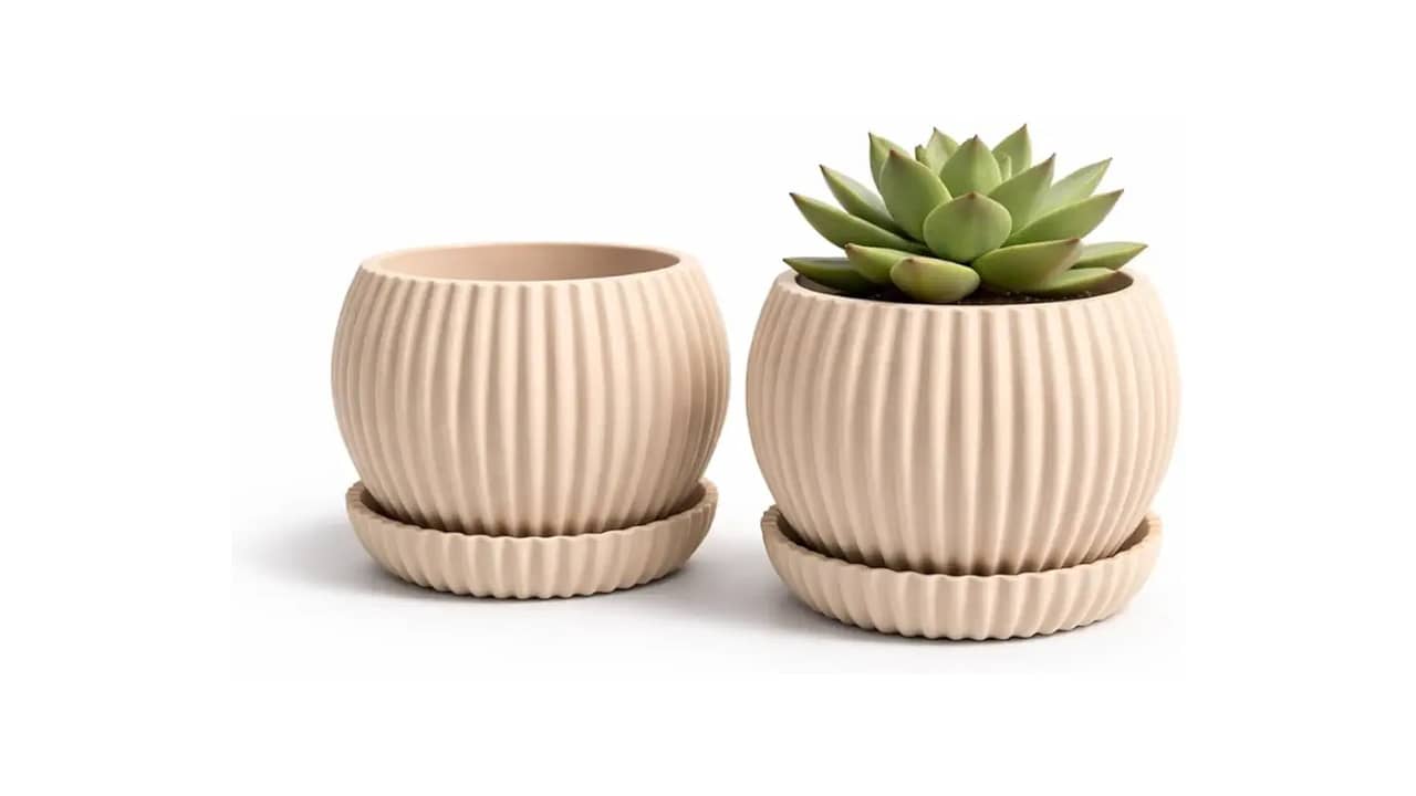 Melhor Vaso para Suculenta: Design Moderno e Funcional