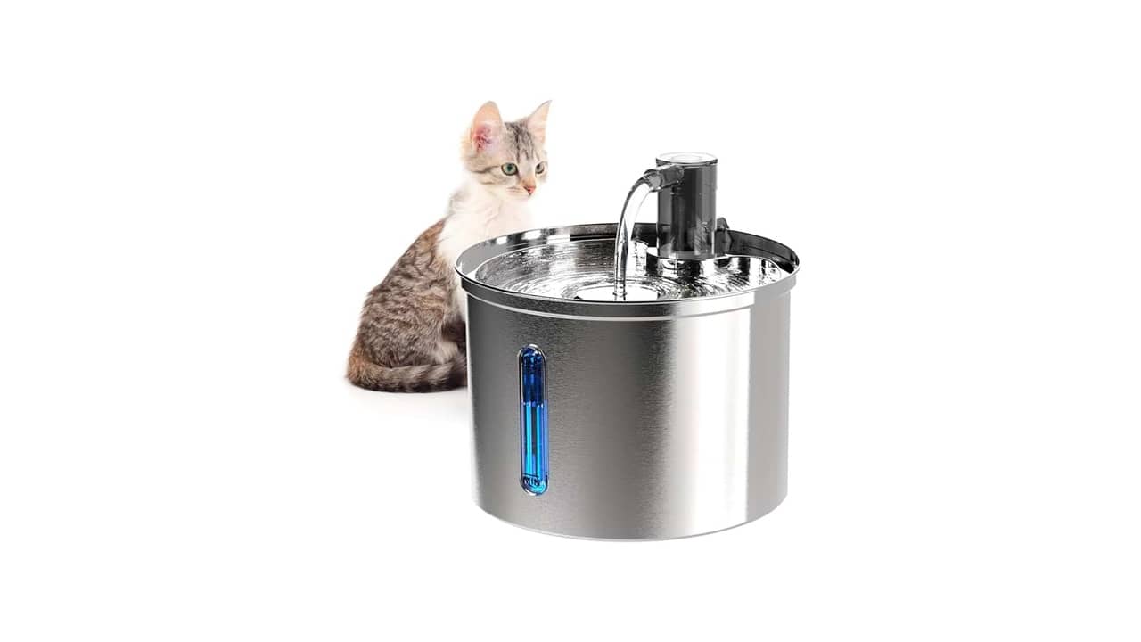 Qual a Melhor Fonte de Água para Gatos? Fontes Silenciosas e com Filtragem Automática